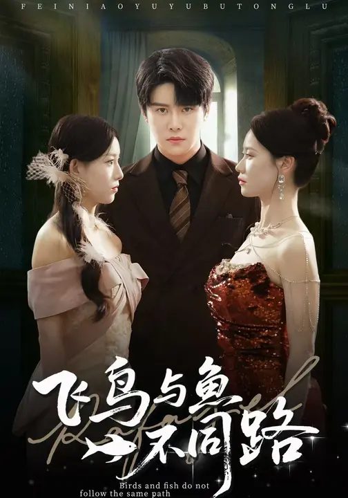 飞鸟与鱼不同路(全集)