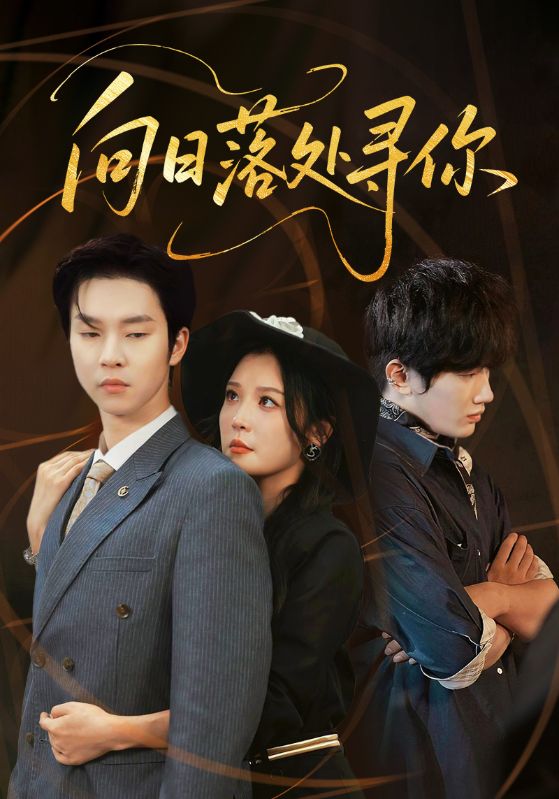 向日落处寻你(全集)