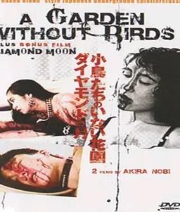 没有小鸟的花园